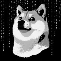 A Doge with code in the background